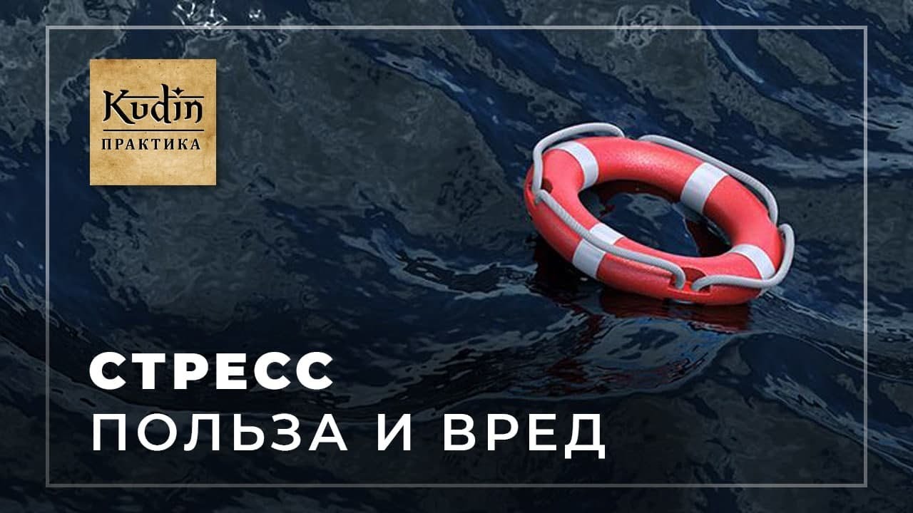 Влияние стресса на организм. Теория болезней адаптации Ганса Селье. 12 ...