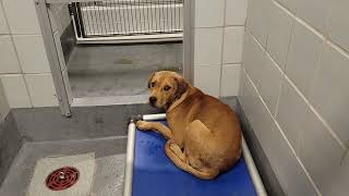 acs A676059