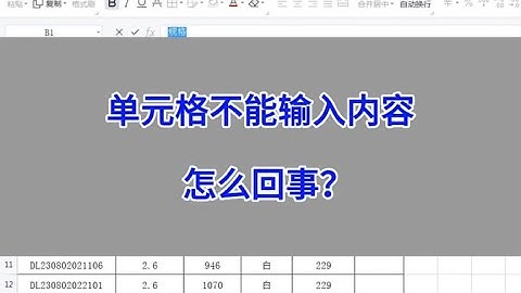 WPS Excel：单元格不能输入内容，怎么回事？#wps #excel