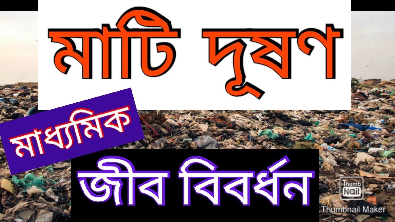 environmental pollution essay in bengali