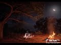 فاض الحنين يا صاحبي فاض الحنين والنور ينبض في الجبين فاض الحنين خاض الغمار مجاهدا سار الطريق 