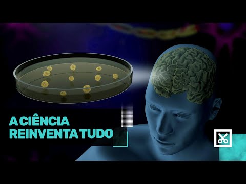 Strange things scientists have created in laboratories
