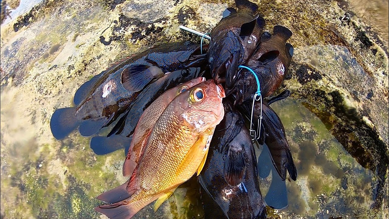 Hawaii Spearfishing 3pronging For SUPER Invasive Reef Fish Ft