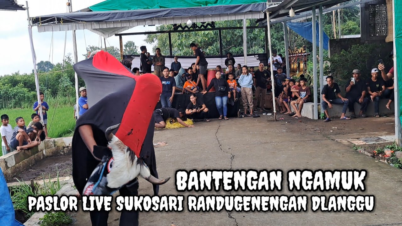 BANTENGAN ‼️ PASLOR LIVE SUKOSARI RANDUGENENGAN DLANGGU MOJOKERTO 