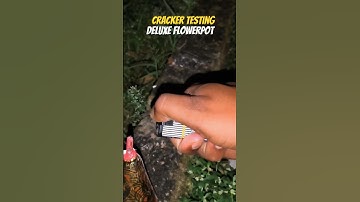 Cock brand Deluxe Flower pot #cockbrand #crackertesting #flowerpot #Anar #firecracker #diwali2025