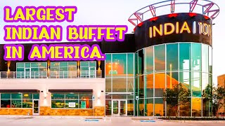 ALL 101 Indian Food Items  Largest Indian Buffet In America  INDIA 101