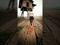 4k hdr cinematic 202509271051 mkeox