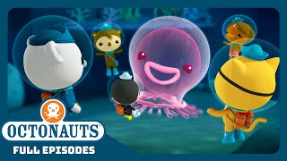 @Octonauts - 🎐The Giant Jelly 🐧  | Season 1 | Full Episodes | Cartoons for Kids by Octonauts 80,567 views 1 month ago 10 minutes, 15 seconds