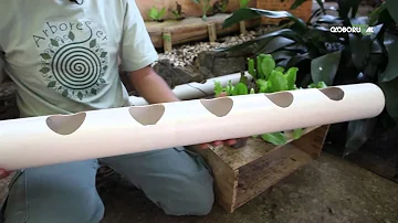 O que é preciso para fazer uma horta vertical?