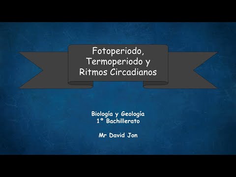 Vídeo: Los Ritmos Circadianos Tienen Efectos Significativos En El Intercambio De Gases A Escala Hoja-dosel En Condiciones De Campo