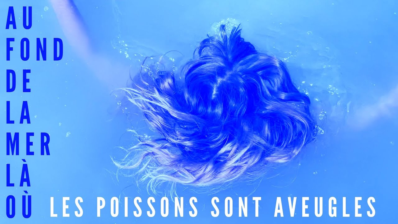 Toutes les vidéos