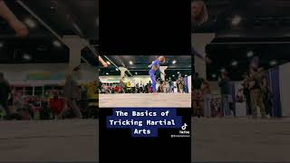 INTRO: The Basics of Tricking Martial Arts 🥋 with Loopkicks Tricking at THE FIT EXPO
