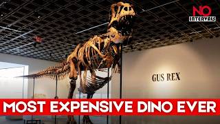 T. Rex Skeleton 'Gus' Sells For A Record-breaking $50.1 Million! | Lifestyle