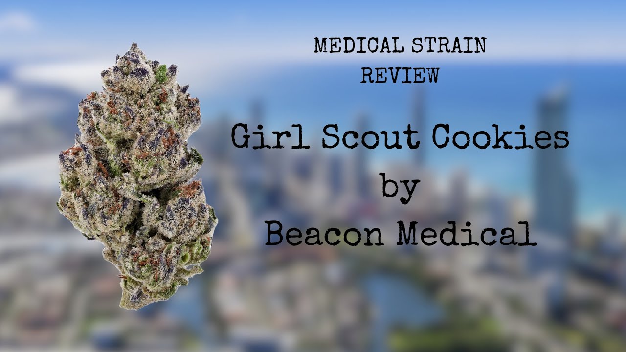 Medicinal Cannabis Review: Girl Scout Cookies 20% THC