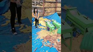Rural Farmer #10058