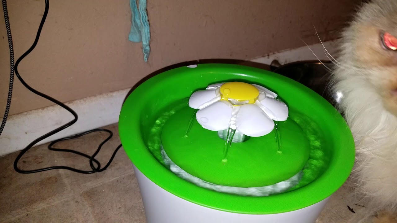 Amazon review: CatIt Flower Fountain