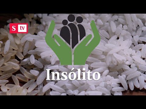¿Corrupción? 15 mil muertos recibieron 28 mil raciones de alimentos del Icbf | Semana Noticias