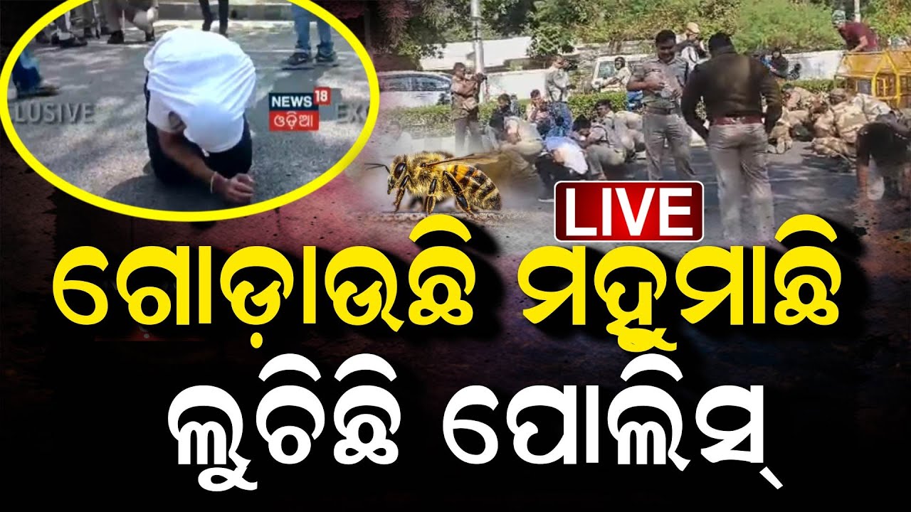LIVE | ଗୋଡ଼ାଉଛି ମହୁମାଛି ଲୁଚିଛି ପୋଲିସ୍ ! | Bees Attack During Congress Protest In Bhubaneswar