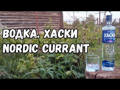 видео: Водка. ""Хаски "северная смородина""