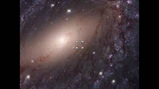 Pov Your In A Crowd Of People And Everyone Starts Playing Pvz A Couple Seconds Before & After You.