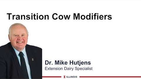 Transition Cow Modifiers