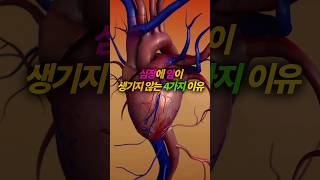 심장에 암이 생기지 않는 이유! #심장건강 #건강 #암