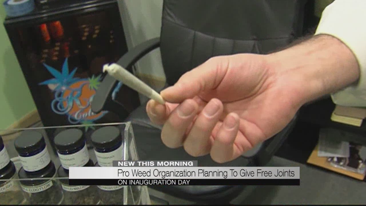 Pro weed organization planning to give free joints