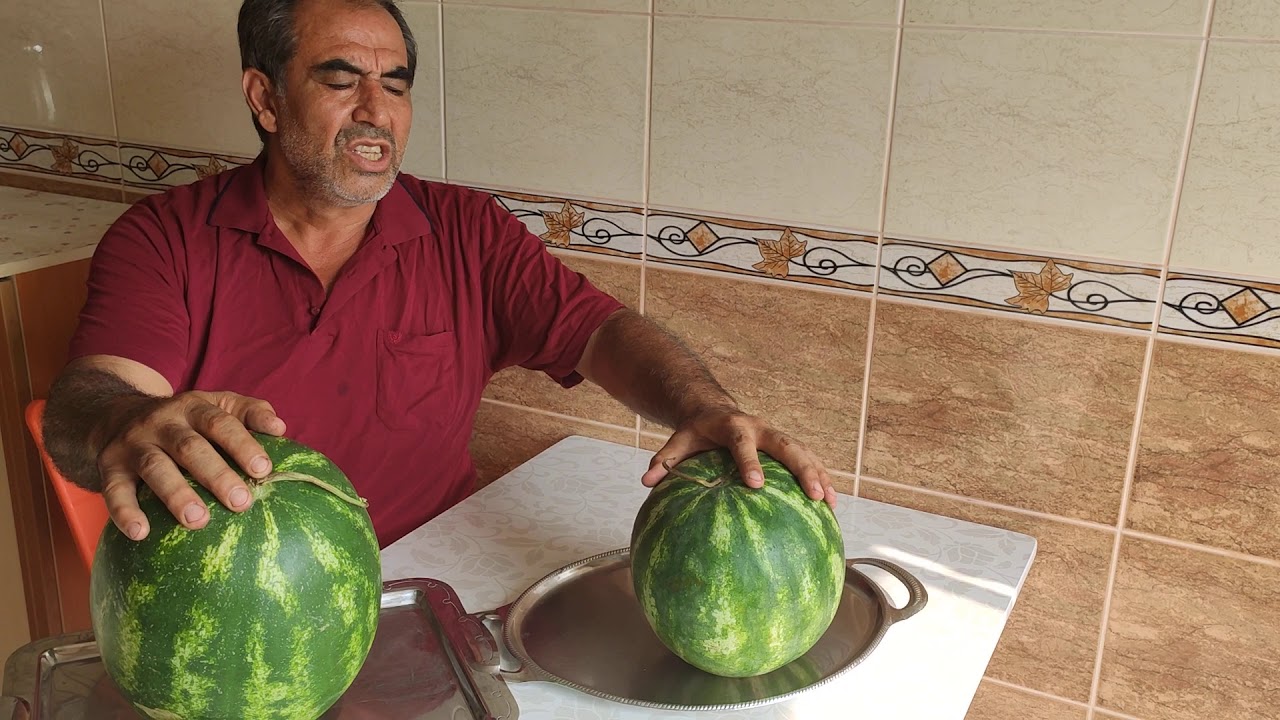 KABAK AŞILI VE ÇEKİRDEKTEN YETİŞME KARPUZU NASIL FARK EDERİZ?