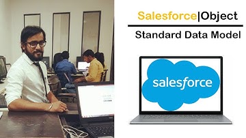 Salesforce Tutorial | Standard  data model and Object