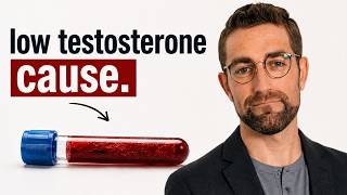 Testosterone Supplements That Actually Work And Why Most Don’t