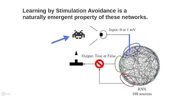ECAL2015: Learning By Stimulation Avoidance