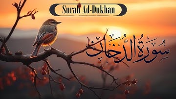 سورة الدخان [ كاملة ] تلاوة مؤثرة جداً بصوت القارئ محمد دبيروف Surah Ad -Dukhan