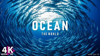 The Ocean 4K - Scenic Wildlife Film With Calming Music