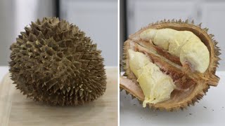 How to Eat Durian | Eating Durian King of Fruits | World's Smelliest Fruit