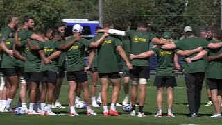 Coupe du monde de rugby : les Springboks s'entraînent à Toulon