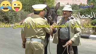 حمار غوار بلّش تخبيص..غار من الحصان وبالاخير دق بالشرطي!!? قررو يفتشو عشغل - عودة غوار ghawar