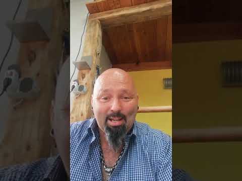 Alle kaufen alles