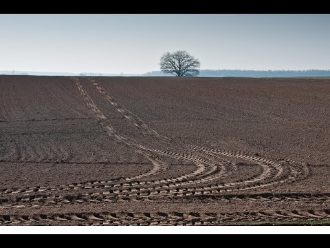 Video: JAV Maisto Ir Vaistų Administracijos Tarptautinis Ląstelių Terapijos Produktų Reguliavimo Bendradarbiavimas