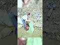 Part2 #survival #Outdoors #camping #fish #Shorts #raw_bodycam