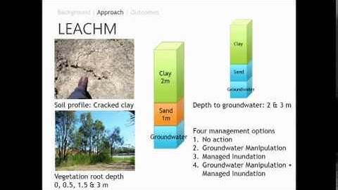 How can managed inundation and groundwater manipulation affect ...