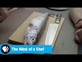 Chef Ludo's Culinary Journey in Brittany