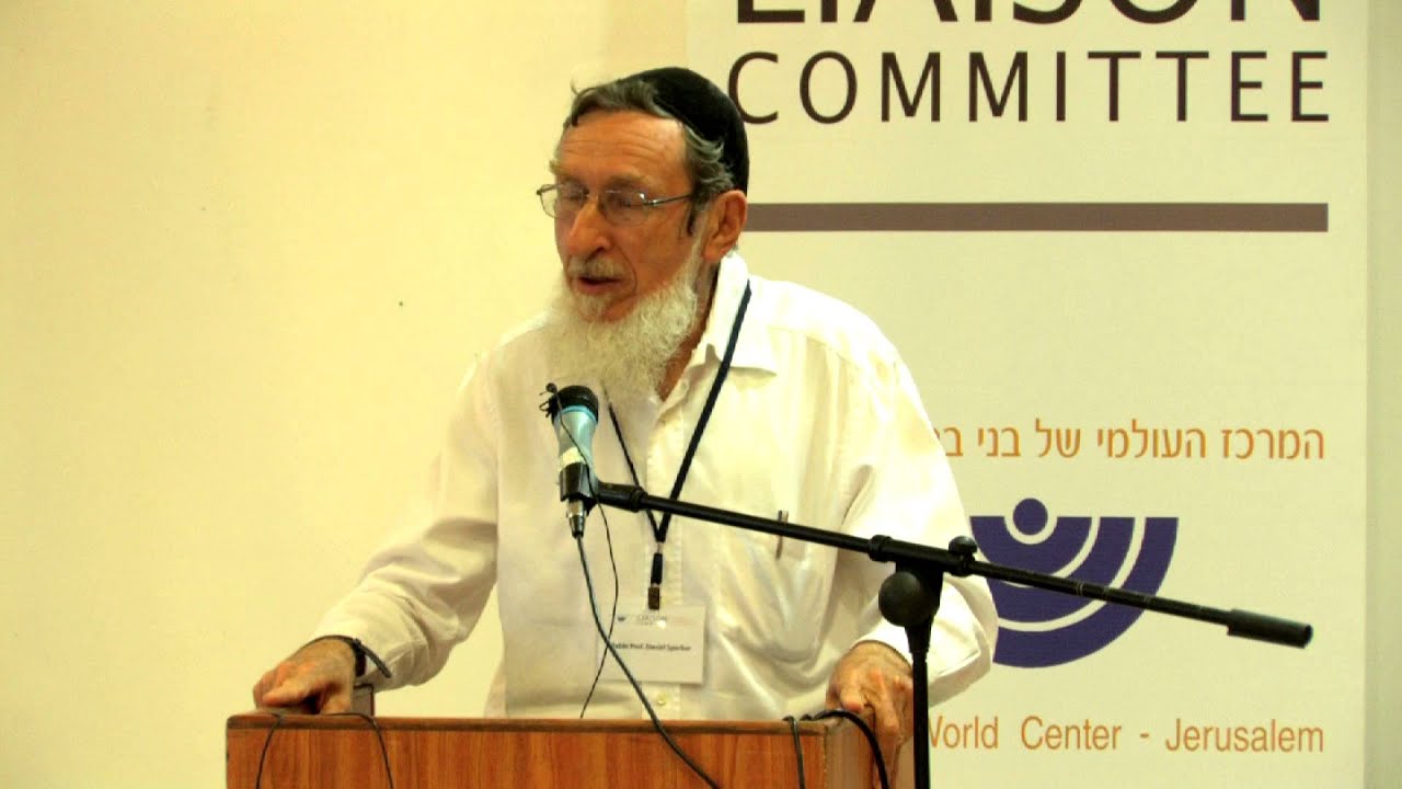Rabbi Daniel Sperber YouTube