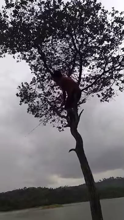 Ketika Sun Gokong Murka