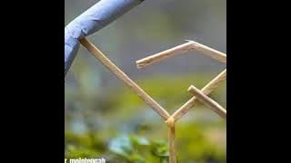 Jangan merasa memiliki - KH ANWAR ZAHID