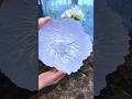 Temu haul# Temu finds #temu haul# #Temu #try on hauls