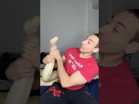 Vi presento il mio nuovo amico