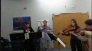 Stamitz viola concerto for 4 violas - Stamitz circus