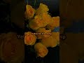 meaning of different color of roses❤! #edit #taeslove #aesthetic #shorts #fypシ゚