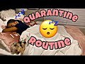 My quarantine night routine 