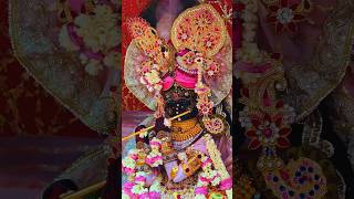 आज के अलौकिक राधावल्लभ दर्शन ✨💫🥀#radhavallabh #darshan #vrindavan #swami #youtubeshorts #viral